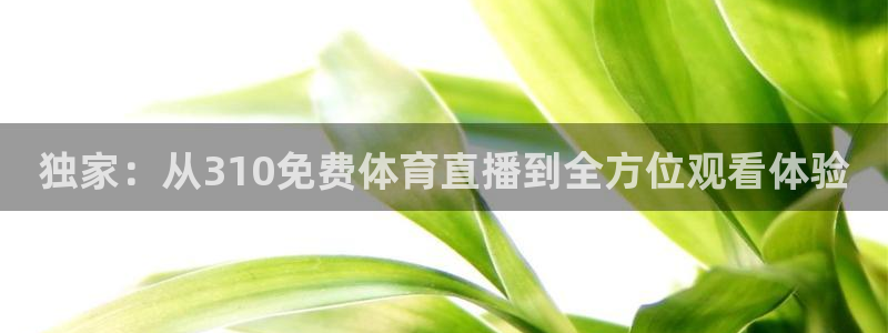 独家：从310免费体育直播到全方位观看体验