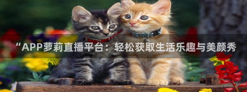 “APP萝莉直播平台：轻松获取生活乐趣与美颜秀