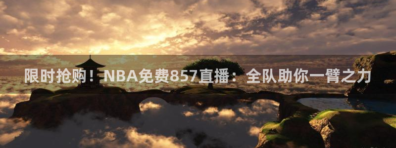 限时抢购！NBA免费857直播：全队助你一臂之力